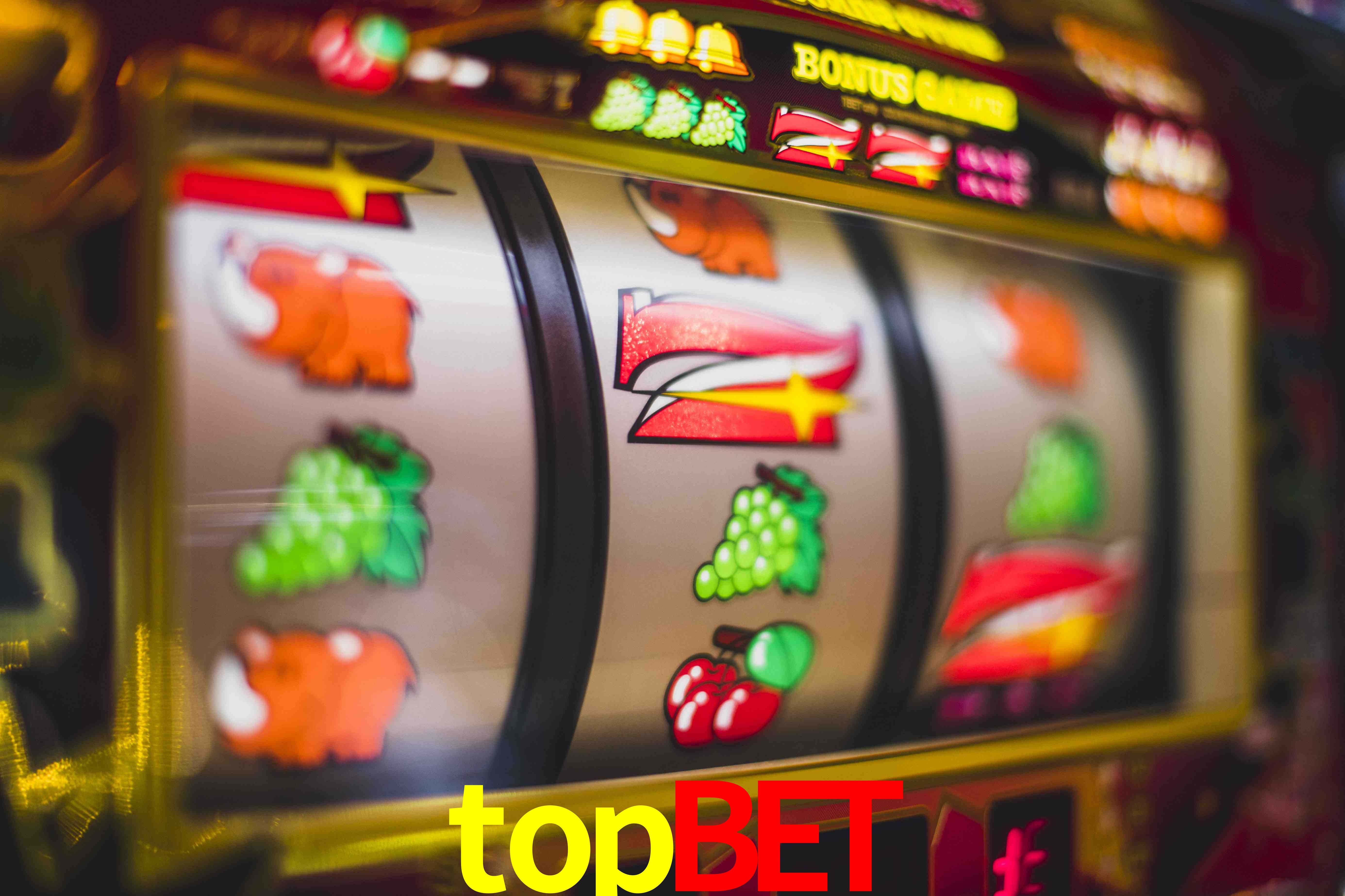 Experiência VIP topbet